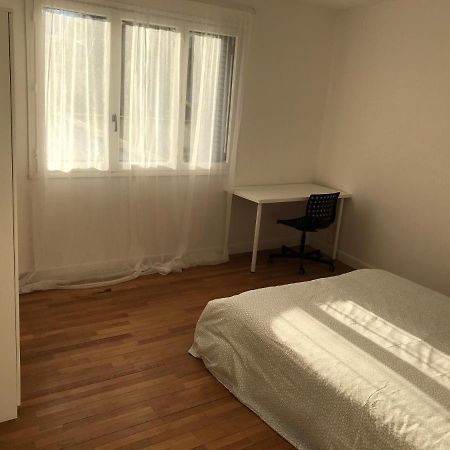 Grenoble Joli Appartement エクステリア 写真
