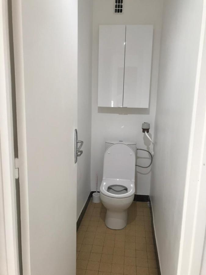 Grenoble Joli Appartement エクステリア 写真